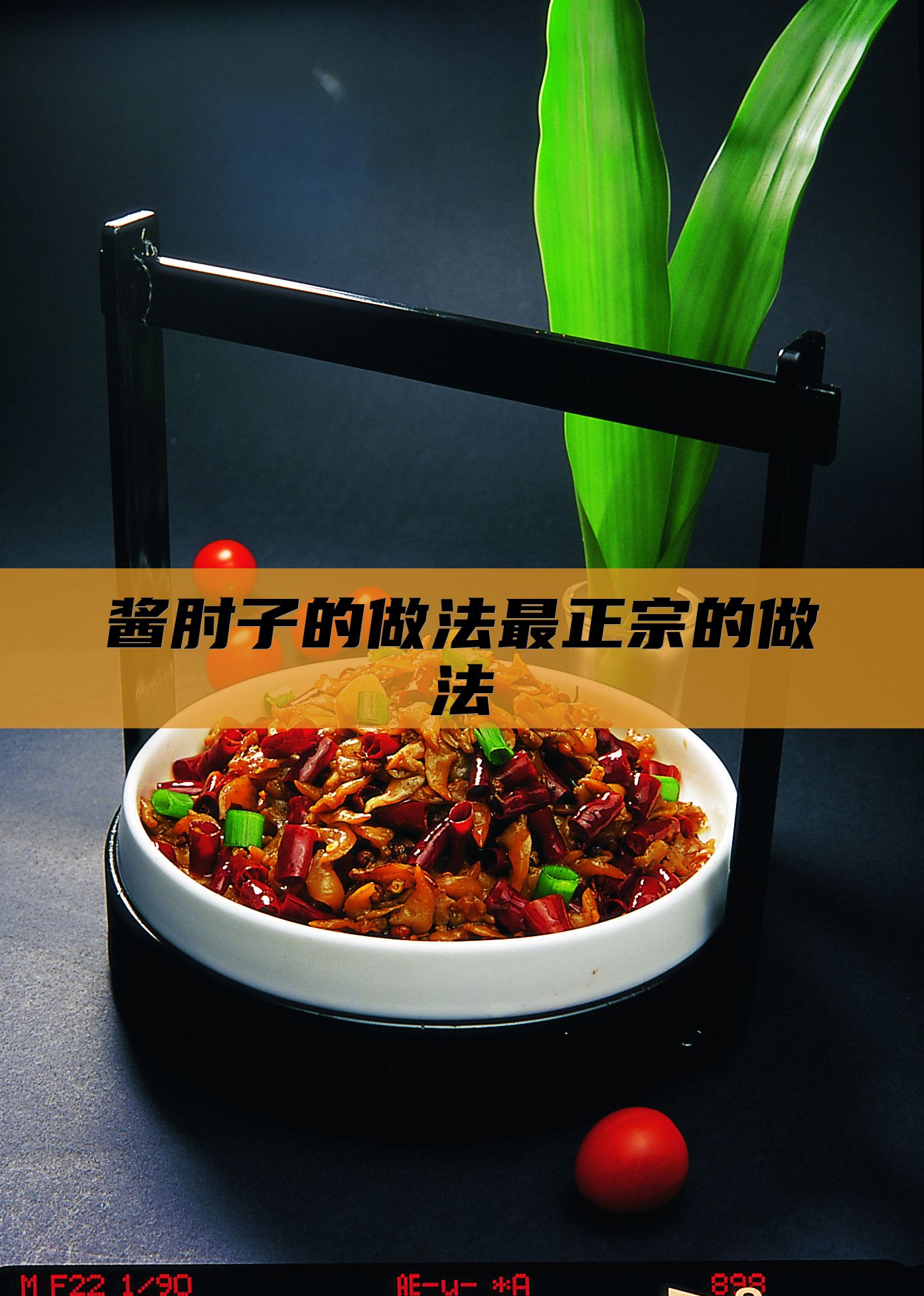 酱肘子的做法最正宗的做法