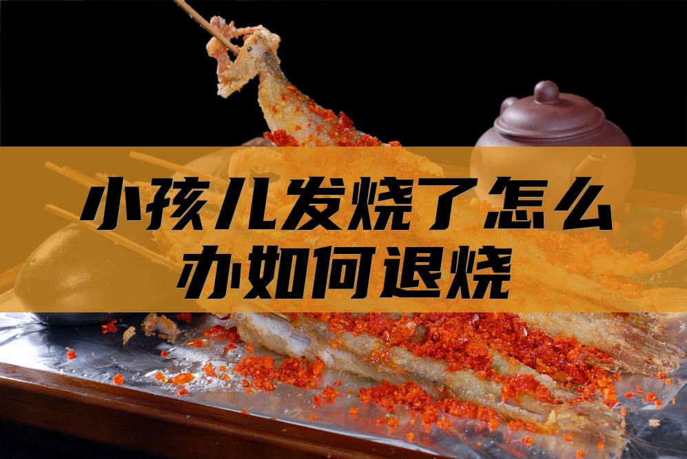小孩儿发烧了怎么办如何退烧
